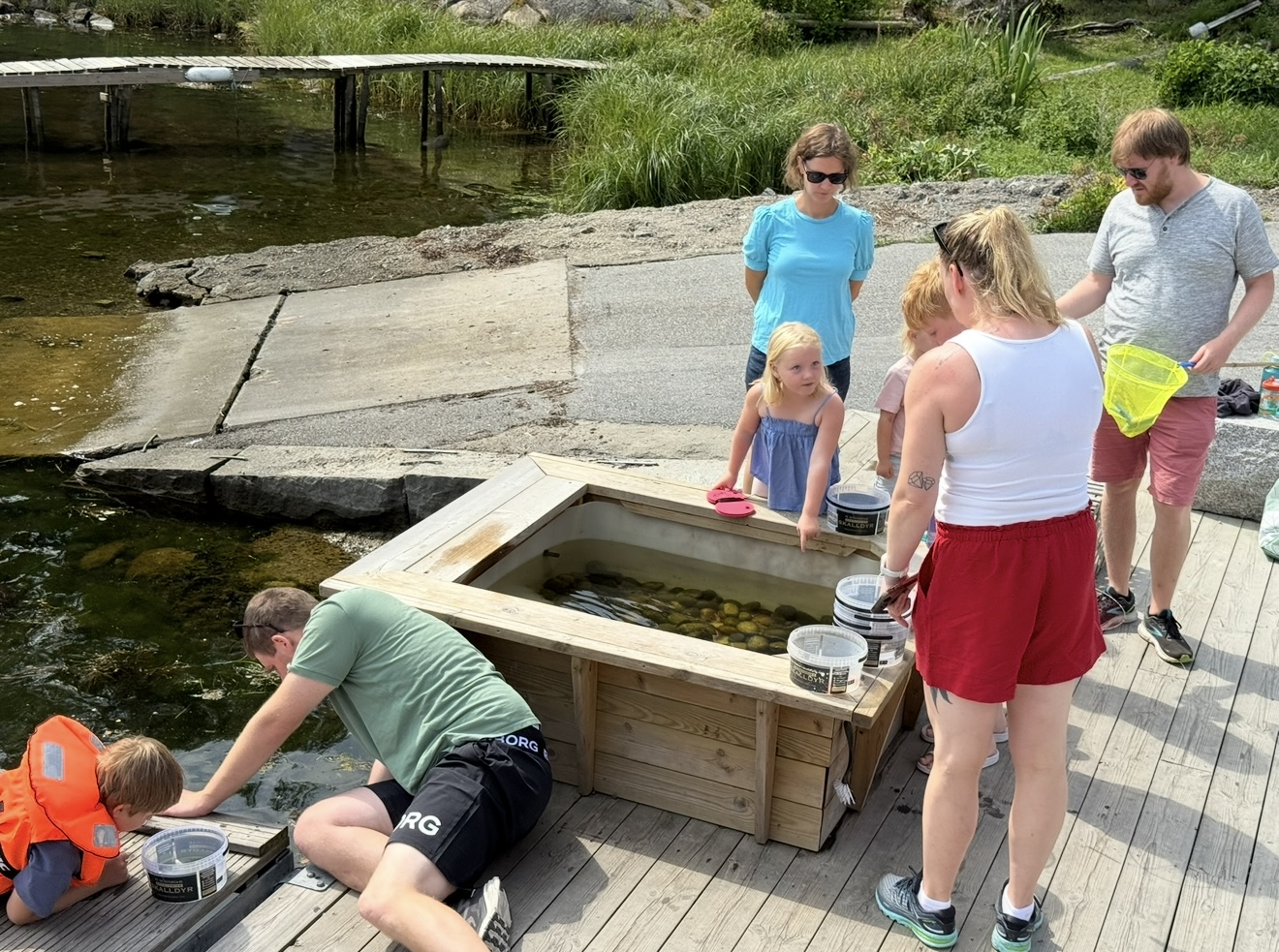 Barn fisker krabber i krabbekummen ved Sjøbua i Sponvika – morsom familieaktivitet ved Ringdalsfjorden nær Halden