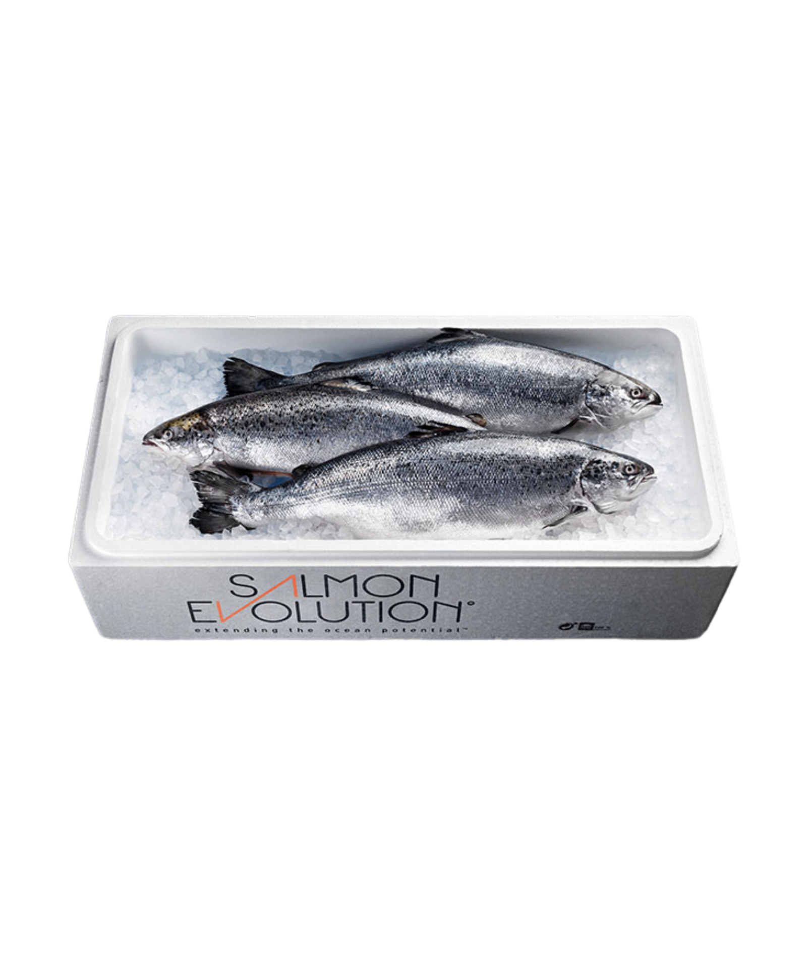 Logo for Salmon Evolution – bærekraftig landbasert oppdrettslaks som Sjøbua i Sponvika serverer ved Ringdalsfjorden nær Halden